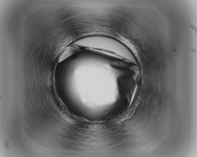 X0000096130105200802081334