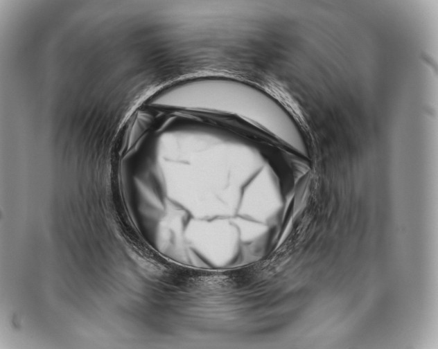 X0000096130108200802081334
