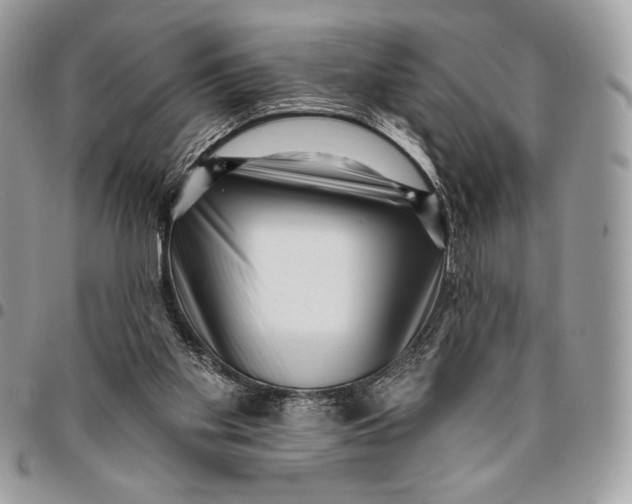 X0000096130109200802081334