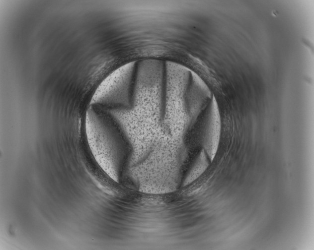 X0000096130110200802081334