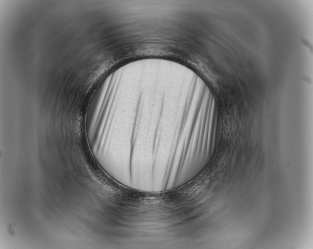 X0000096130111200802081334