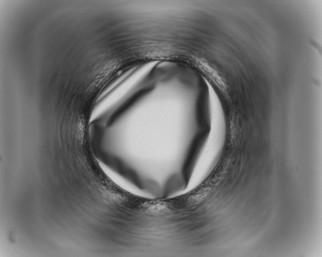 X0000096130113200802081334