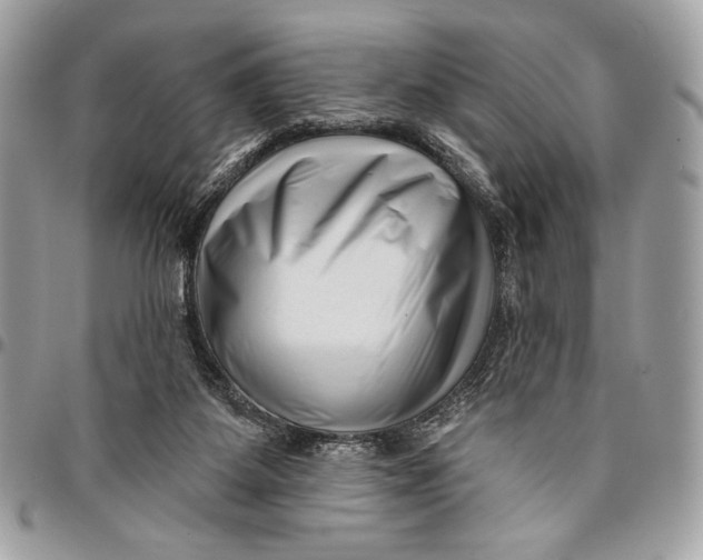 X0000096130115200802081334