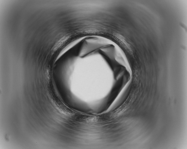 X0000096130116200802081334