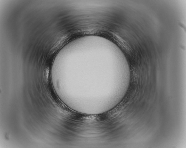 X0000096130118200802081334