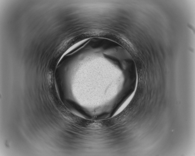X0000096130119200802081334