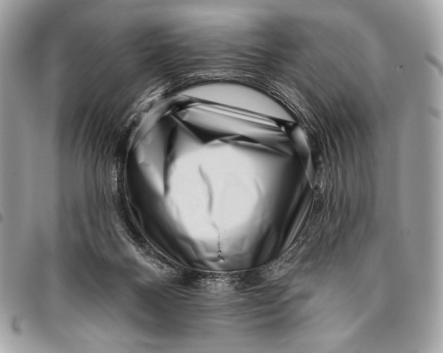 X0000096130120200802081334
