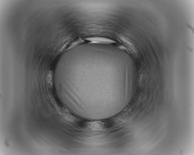 X0000096130121200802081334