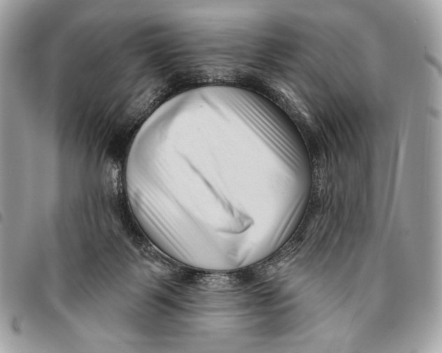 X0000096130123200802081334