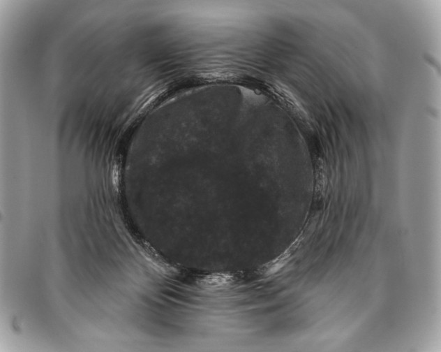 X0000096130124200802081334