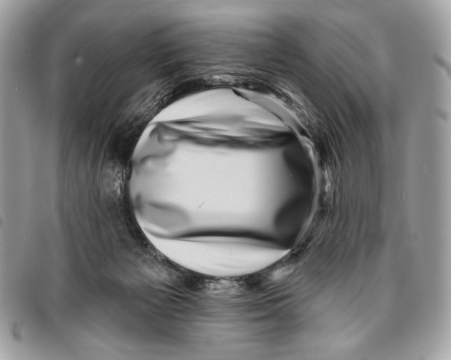 X0000096130125200802081334