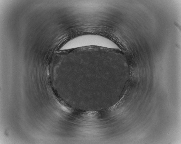 X0000096130128200802081334