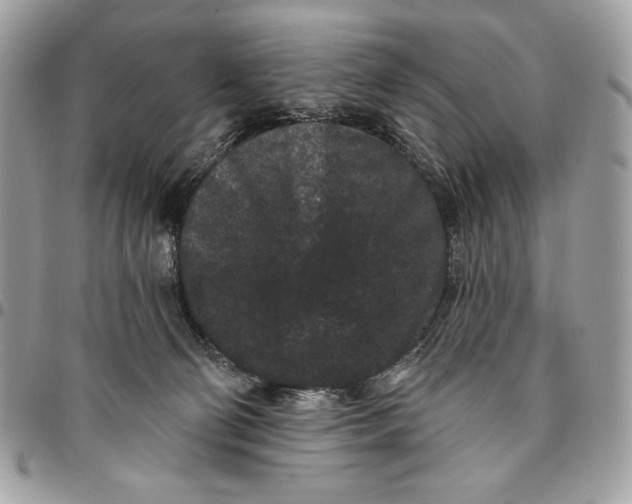 X0000096130130200802081334