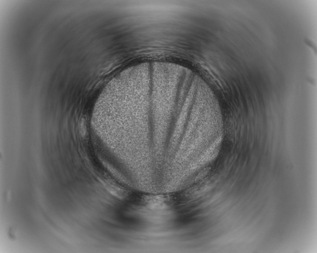 X0000096130131200802081334