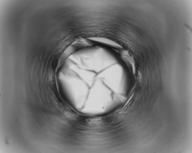 X0000096130132200802081334