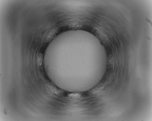 X0000096130133200802081334
