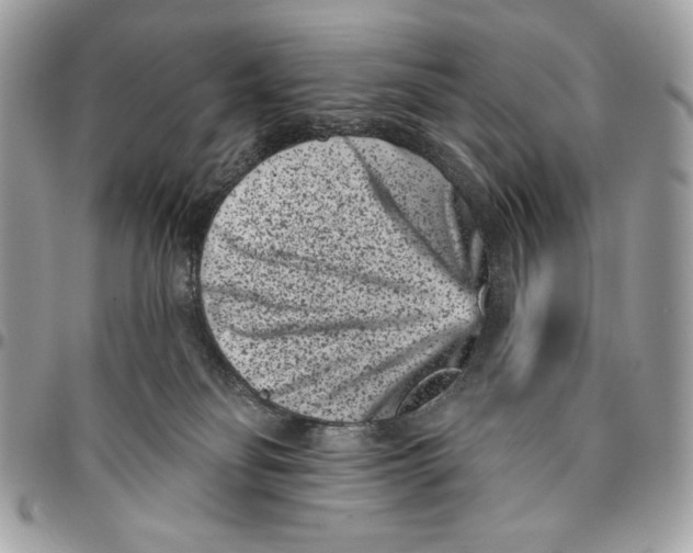 X0000096130134200802081334