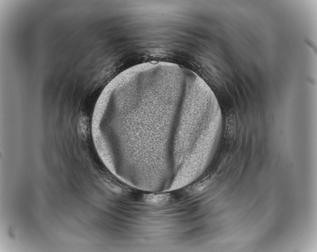 X0000096130135200802081334