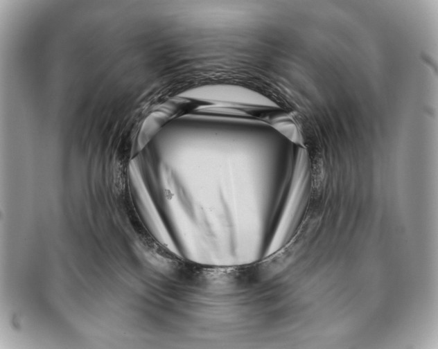 X0000096130136200802081334