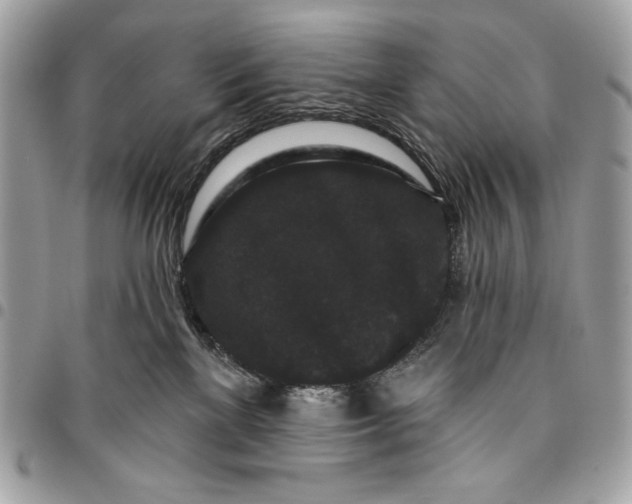 X0000096130137200802081334