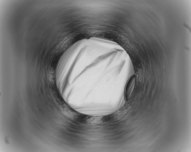 X0000096130138200802081334