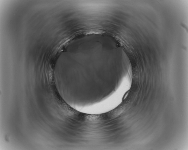 X0000096130139200802081334