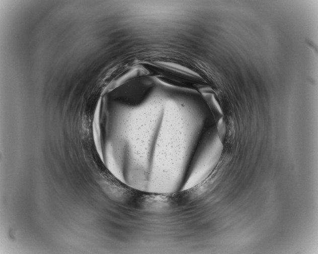 X0000096130140200802081334
