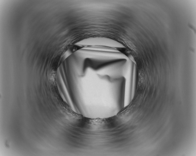 X0000096130141200802081334