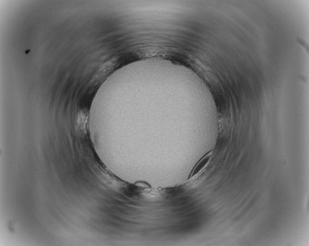 X0000096130142200802081334