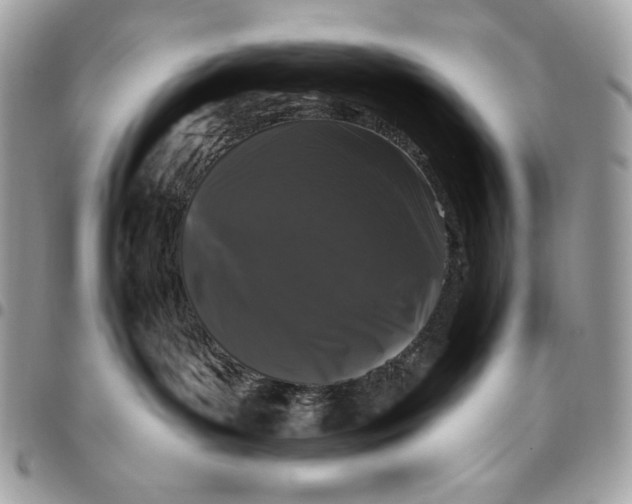X0000096130143200802081334