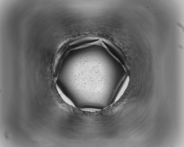 X0000096130144200802081334