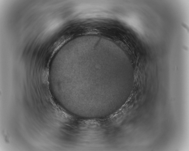X0000096130146200802081333