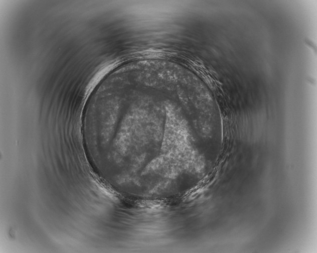 X0000096130147200802081333