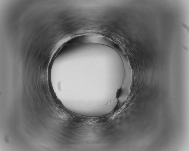 X0000096130148200802081333
