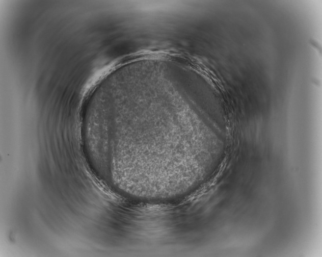 X0000096130149200802081333