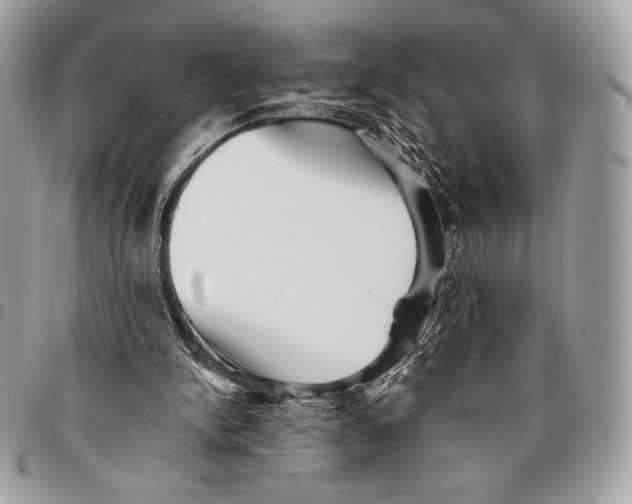 X0000096130150200802081333