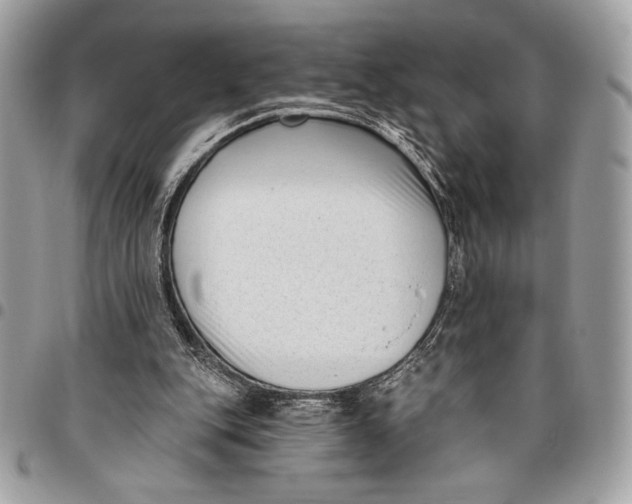 X0000096130151200802081333