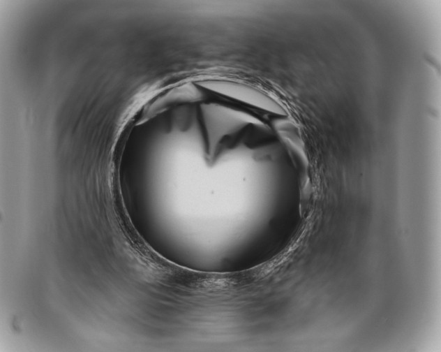 X0000096130152200802081333