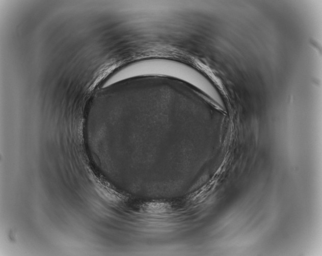 X0000096130154200802081333