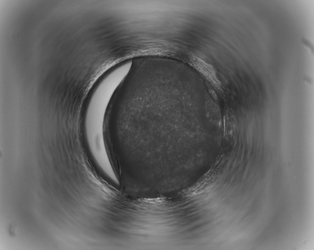 X0000096130156200802081333