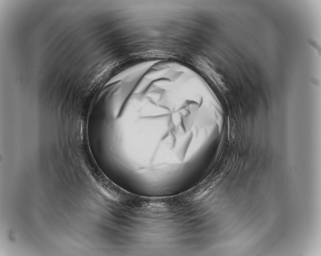 X0000096130157200802081333