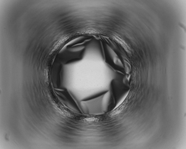 X0000096130158200802081333