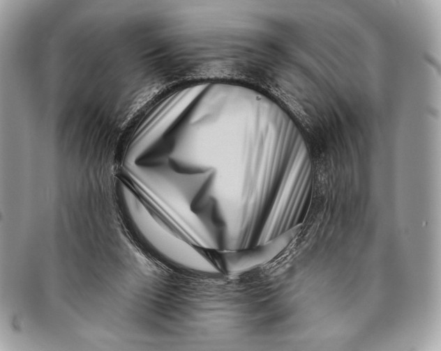 X0000096130160200802081333