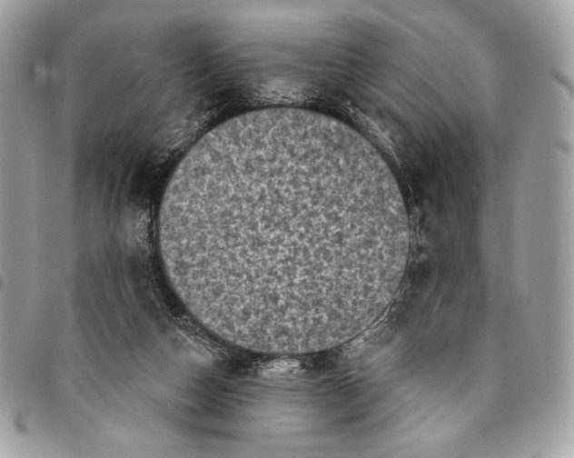 X0000096130162200802081333