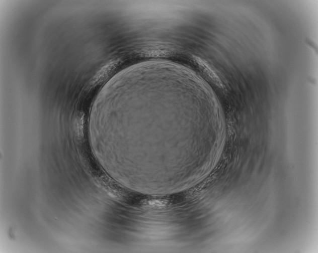 X0000096130163200802081333