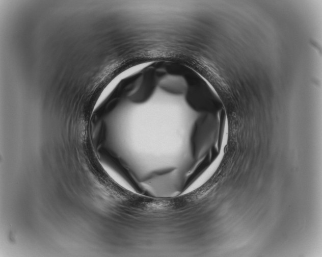 X0000096130164200802081333