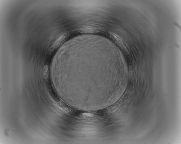 X0000096130167200802081333