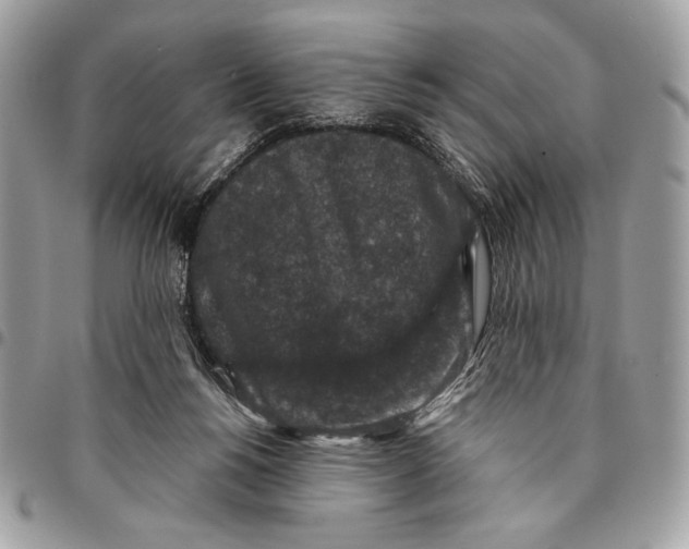 X0000096130168200802081333