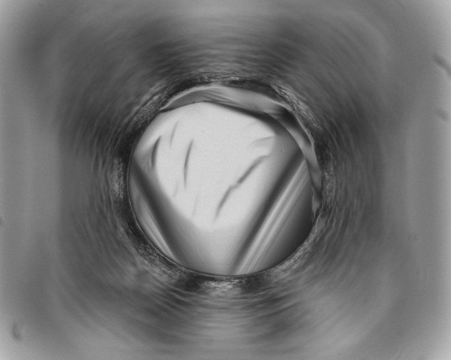 X0000096130170200802081333