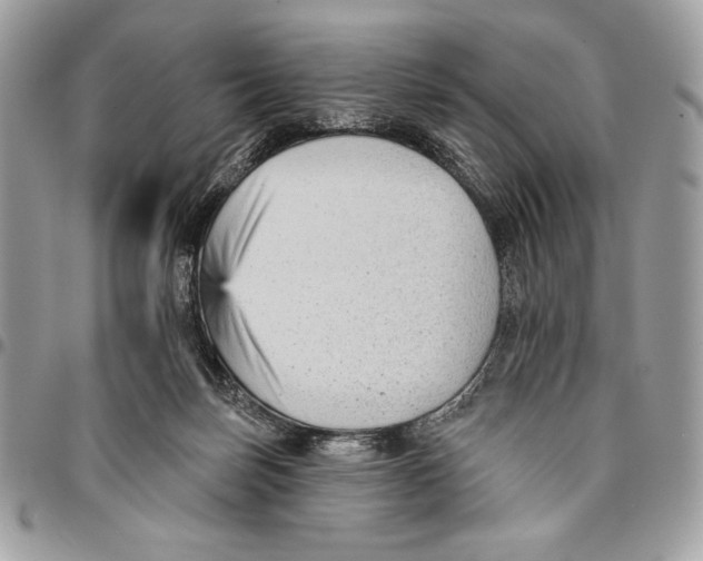 X0000096130171200802081333